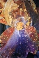Copy of Painting "Iris"